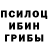 Псилоцибиновые грибы мухоморы Kavannah Light