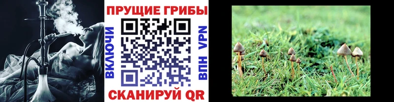 Галлюциногенные грибы мухоморы  Сергач 